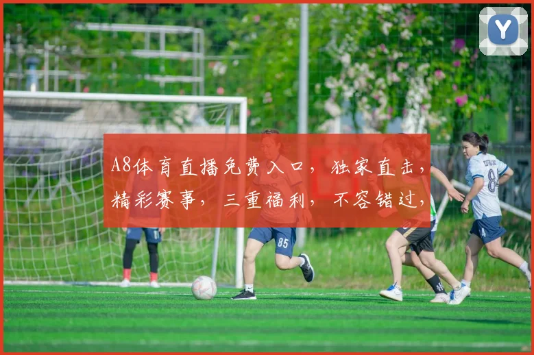 A8体育直播免费入口，独家直击，精彩赛事，三重福利，不容错过，速来观看